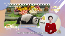 夜恋全部国产精品视频